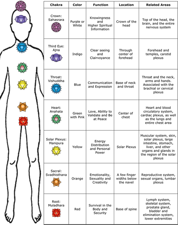 Chakra Chart Poster Colors Meanings Body Parts 24x36.